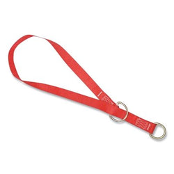 Adaptador de amarre PROTECTA® PRO™, 6 pies de largo, cinta de poliéster, color rojo, capacidad de carga de 310 lb.